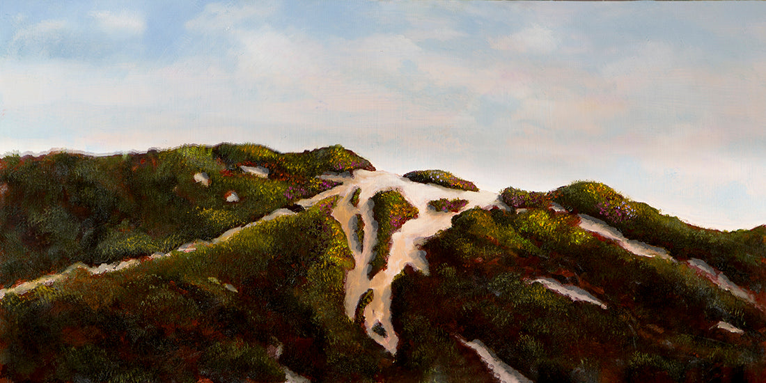 Gentle Pathways 12 x 24 (Oil: non-toxic)