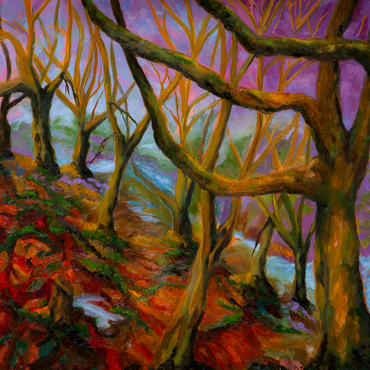 Forest Dawning 18 x18 (Oil: non-toxic)