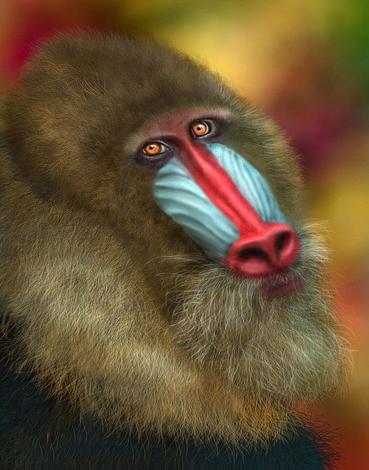 Mandrill