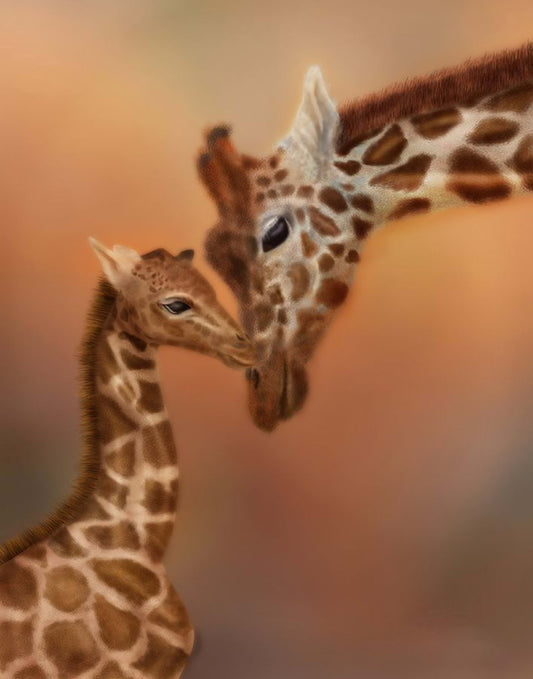 Mom and Baby Giraffe